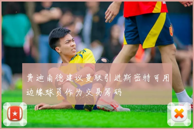 费迪南德建议曼联引进斯密特可用边缘球员作为交易筹码